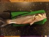 DSC01155.JPG