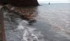 20160905_085215.jpg