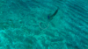 Screenshot_20160921-000347.png