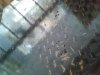 xstoragexsdcard0xDCIMxCameraxIMG_20170102_104454.jpg