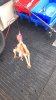 IMG-20170918-WA0000.jpg IMG-20170918-WA0000.jpg