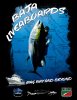 liveaboard back - Copy.jpg