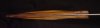 DSC03268_small.JPG