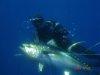 nico2.JPG