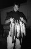 Bcharlie_7bass_01.jpg