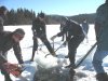 icewiththat.jpg