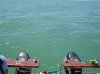 Gordons Bay GW1.JPG