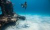 Nick Payton for Social Media-7.jpg