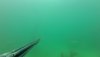 VideoCapture_20180719-173200.jpg