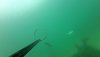 VideoCapture_20180719-173203.jpg