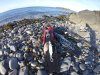 G0022966_1533064553434_high.JPG