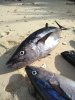 IMG_20180316_151538.jpg
