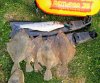 IMG_20181027_172027~3.jpg