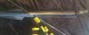 A712DC2E-2BB2-403A-A236-142A9413FE16.jpeg