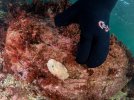 untitled-1250948.JPG