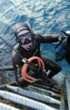 freedive SSI photo.jpg