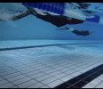 E013707A-B418-4442-9A54-2B07B70DAC85.jpeg
