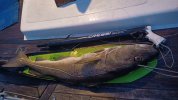 IMG_20211112_162144.jpg