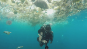 underwater plastics.png
