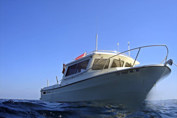 bill's boat copy.jpg