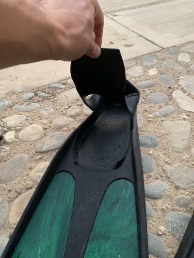 IMG_3613.jpg