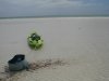 kayak and reef on horizon.JPG
