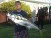 kingwhanga05.jpg