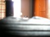 P1010014.JPG