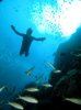 lungfish on GBR05.jpg