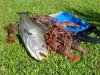 DSC00375.JPG