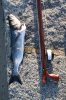 First bass.jpg