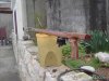2006-03-17_003942_mediterannea_115_michael_1.jpg