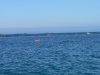 P1020554(1).JPG