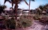 Image014 Pardise.jpg