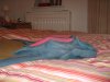 IMG_3072.JPG