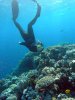 FreedivingClosertolife.jpg