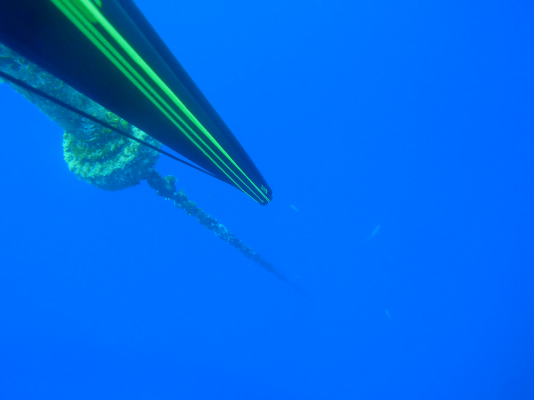 spearfishing_boat_malta23.png