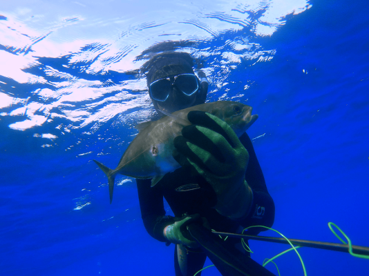 spearfishing_boat_malta19.png