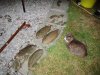 20060811_4sole01.jpg