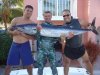 Mojarra3.jpg