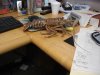 DSC01115.JPG