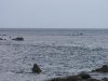 P1020653(1).JPG
