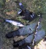 5-11-06 Portinfer.jpg