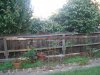 DSC01589.jpg