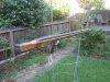 DSC01590.jpg