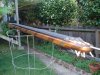DSC01594.jpg
