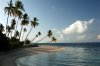 DSC_3057_SignaturePalms (Small).jpg