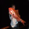 snapper.jpg snapper.jpg