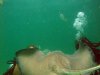 stingraycity3.jpg