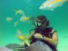 stingraycity5.jpg